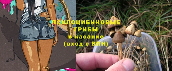 не бодяженный Сураж