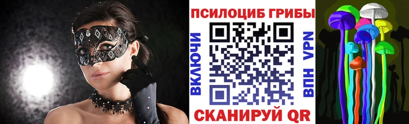 цены   omg ссылки  Галлюциногенные грибы MAGIC MUSHROOMS  Петушки 